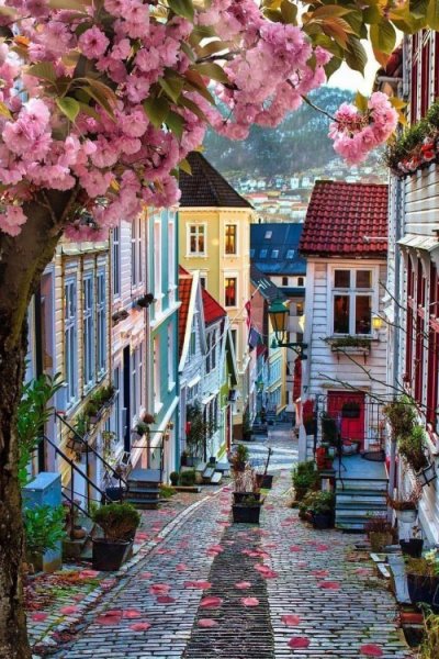 ollebosse:Bergen, Norway