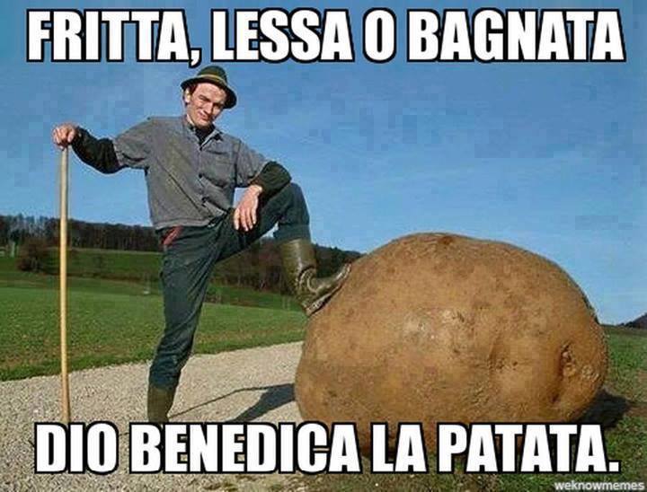 &hellip;.propongo una modifica: Mora, bionda, rossa o rasata, Dio benedica la