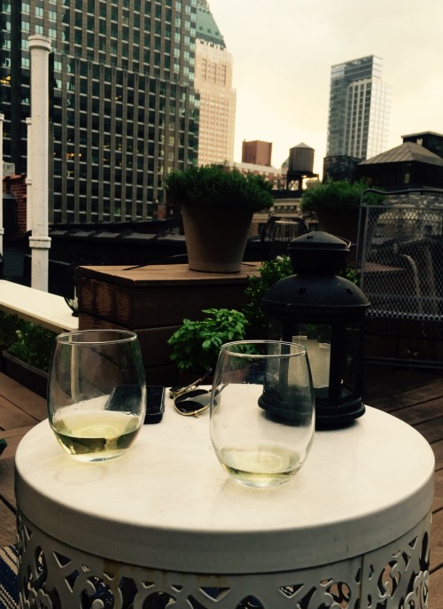 Chillin on the roof in NYC Source: Zacapatista, 2015