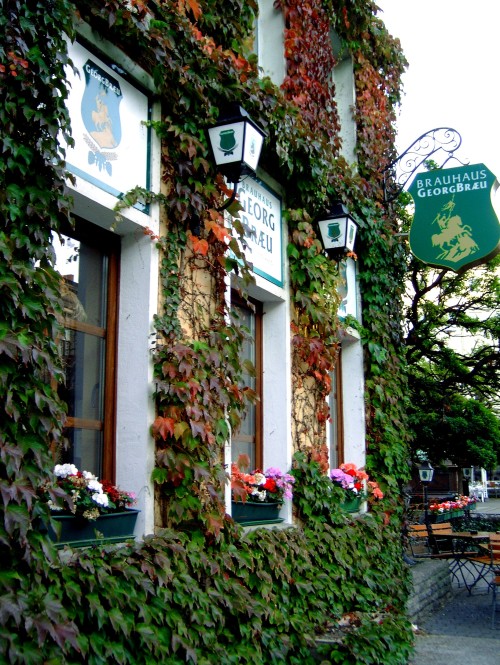 cityhoppersgarden: Autumn colours in Berlin, Nikolai-Viertel, October 2008,  Germany  photograp