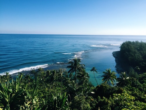 sadieraeee:  Quick break before I died  ❁❁ tropical blog  ❁❁