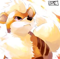 pokemonisgreaterthanlife:   that one fire dog by suikuzu 