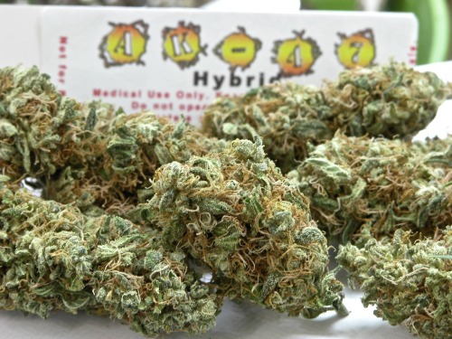 hasankaptan:  Medicinal AK-47 Hybrid 