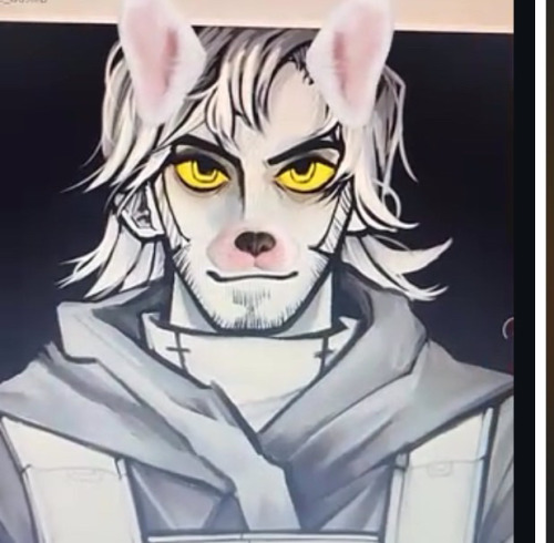 I Love The Dog Filter Guys