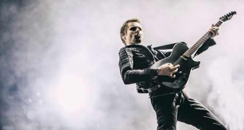 muse-ic-is-my-life:Pinkpop festival 2015  Photos by hapevv