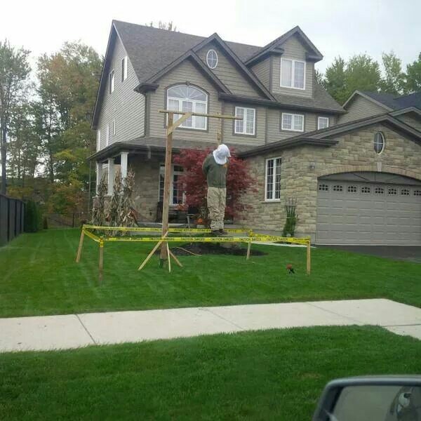 sixpenceee:  sixpenceee:  One extreme halloween decoration. There actually have been