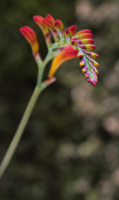 Photography In Motion