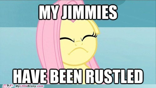 EpicBroniesTime