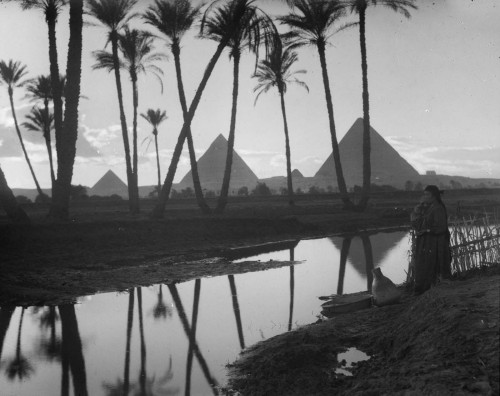 The Pyramids of Giza (Cairo, 1936).