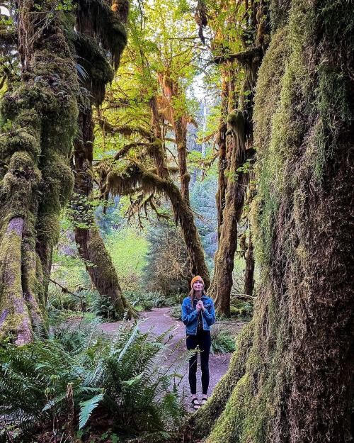 visitportangeles:  The ever enchanting and beautiful #HohRainforest, as explored by @emilyventures 🤩  #OlympicNationalPark #VisitPortAngeles https://instagr.am/p/COiv6tpL6xu/