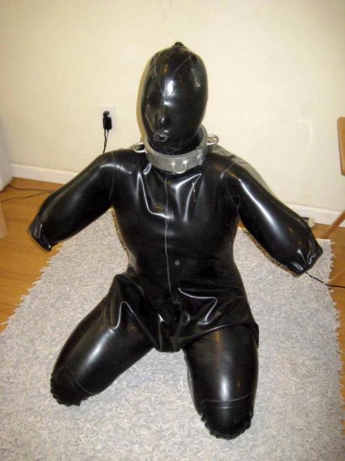 gummigimp:  collared gimp 