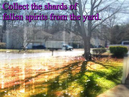 Collect the shards of fallen spirits from the yard.