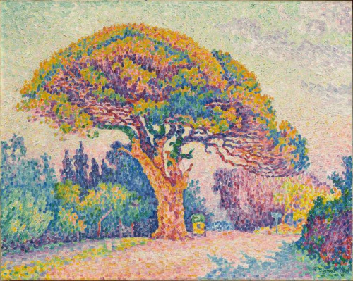 The Pine Tree at Saint Tropez, Paul Signac, 1909