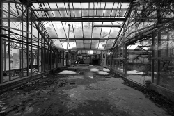 eastberliner:  abandoned greenhouse , eastberlin 2013 