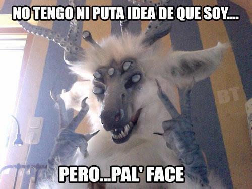 MINIGAG