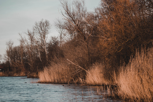 A day on the Lake   |   © l   |   ιηѕтαgяαм