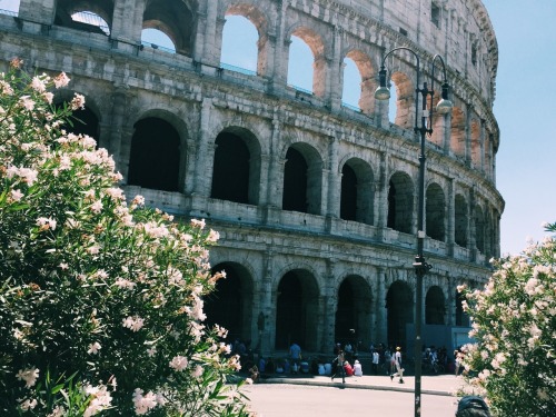 clarkelewis: Rome, IT. June, 2015.