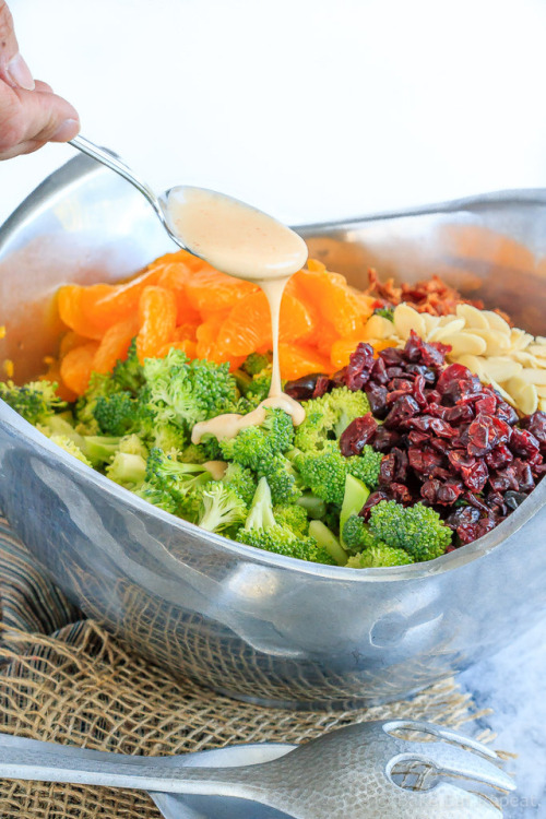 This broccoli salad makes the perfect side dish at any time of year - it&rsquo;s quick and easy 