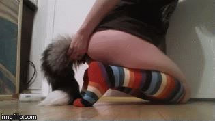 KinkyKitten36 2.0