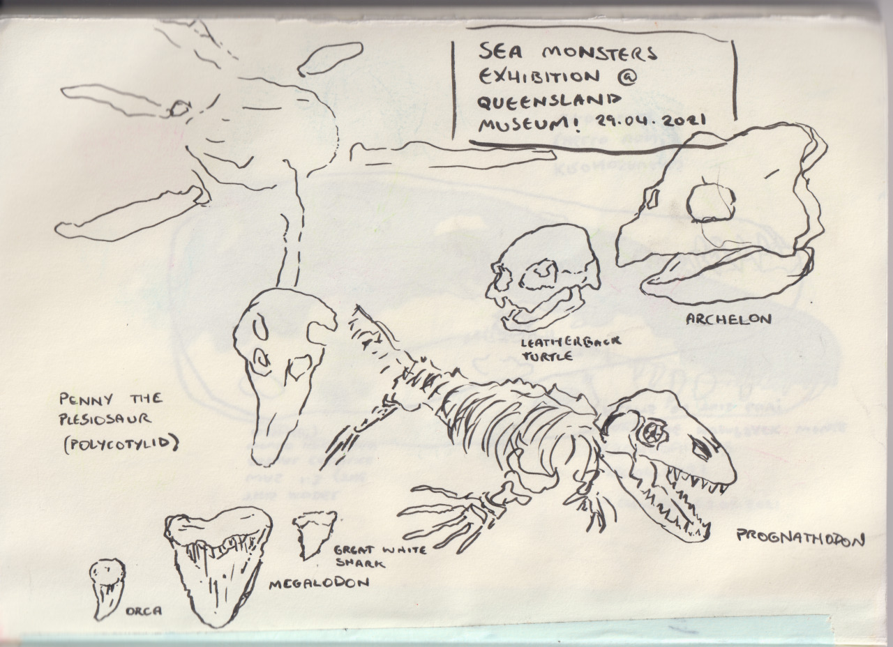 Various sea monsters