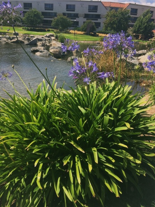 Some Pictures I Took While Im In California....