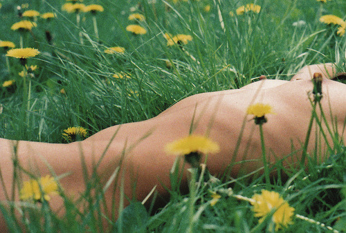 “The world is full of magic things, patiently waiting for our senses to grow sharper.” ~W.B. Yeats 