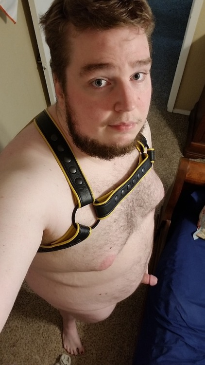 gaywolfos: I was asked for more stuff in my harness, and ye shall receive