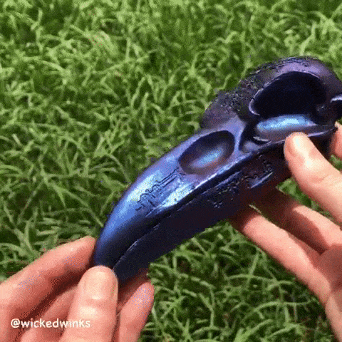 downtownstims:i see resin bird skull and i go feral