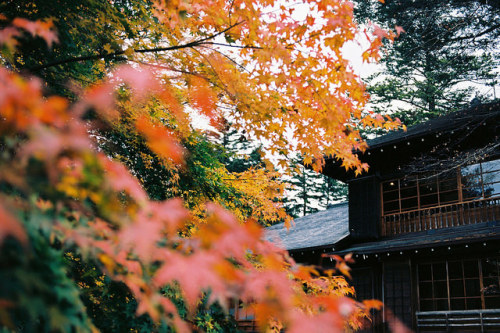 ileftmyheartintokyo:紅葉と日本建築 by Neconote on Flickr.