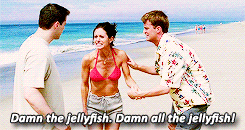 iamnevertheone:    favourite friends episodes• the one with the jellyfish   