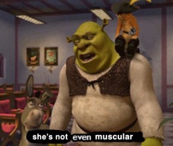 fizcat:huffleduffle:the only thing I absolutely hate about the httyd movies is that every off screen woman is strong built, fat and muscular viking women, but every woman that is part of the main characters is skinny… & I see why Valka has