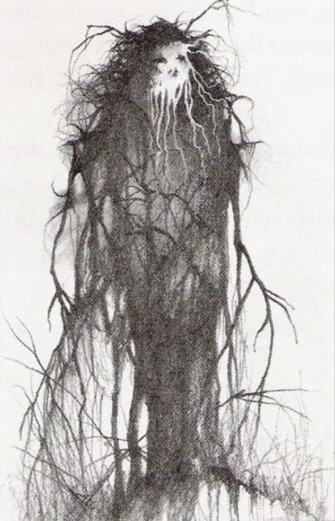 talesfromweirdland:  Illustrations by Stephen Gammell from the children’s books, Scary Stories to Tell in the Dark (1981-1991).