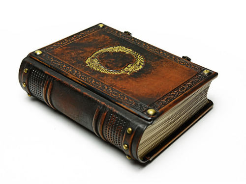 alexlibris-bookart:Large journal with beautifully aged leather, gilded symbol and 700 lined pages&he