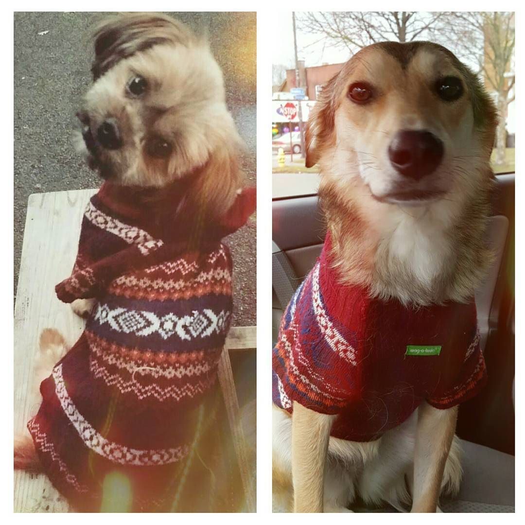 Who wore it better? - Missing little Esther today. I often think that if I did not