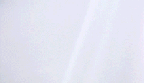 belladonianoir: 