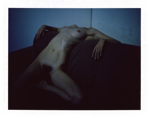 creativerehab:  Blue Noma on a Chelsea couch.