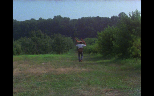 Losing Ground (1982, Kathleen Collins)