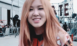 taenine:  idols: rose ♡                                      