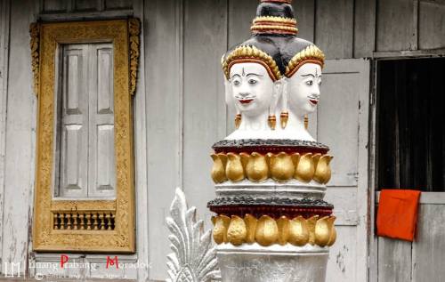 The circular, spiral dot often seen on Buddhist images and the like in the general area of Laos, Tha