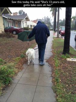 pleatedjeans:  20 Pet Owners Who Are Doing