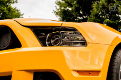 automotivated:  Stang Boss 308 (by 2MC Photography)