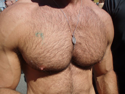 hyper-masculine:    ► HYPER-MASCULINE ♂ ◄ [page]♂ ♂♦ Hyper-Masculine ARCHIVE ♦ [all pics]   