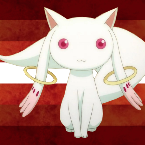 yourfaveisgoingtosuperhell:Kyubey from Puella Magi Madoka Magica is going to super hell, not for gay