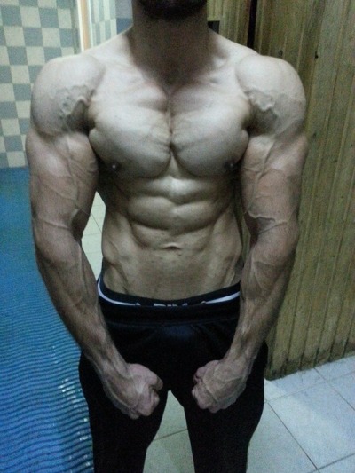 Muscle Tumbex