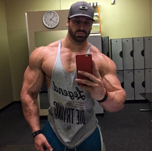 Adonis Files