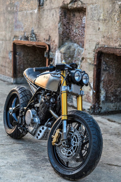 thebestmotorcycles:  skililo:  Robinsons’