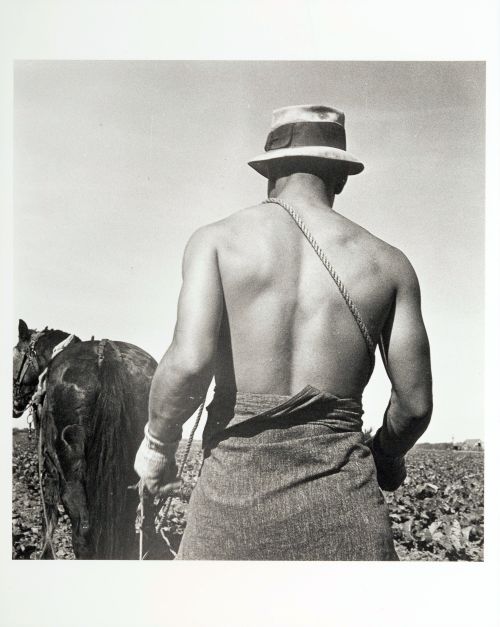 beyond-the-pale:Agricultural Workers Series, 1936-39 -Dorothea Lange