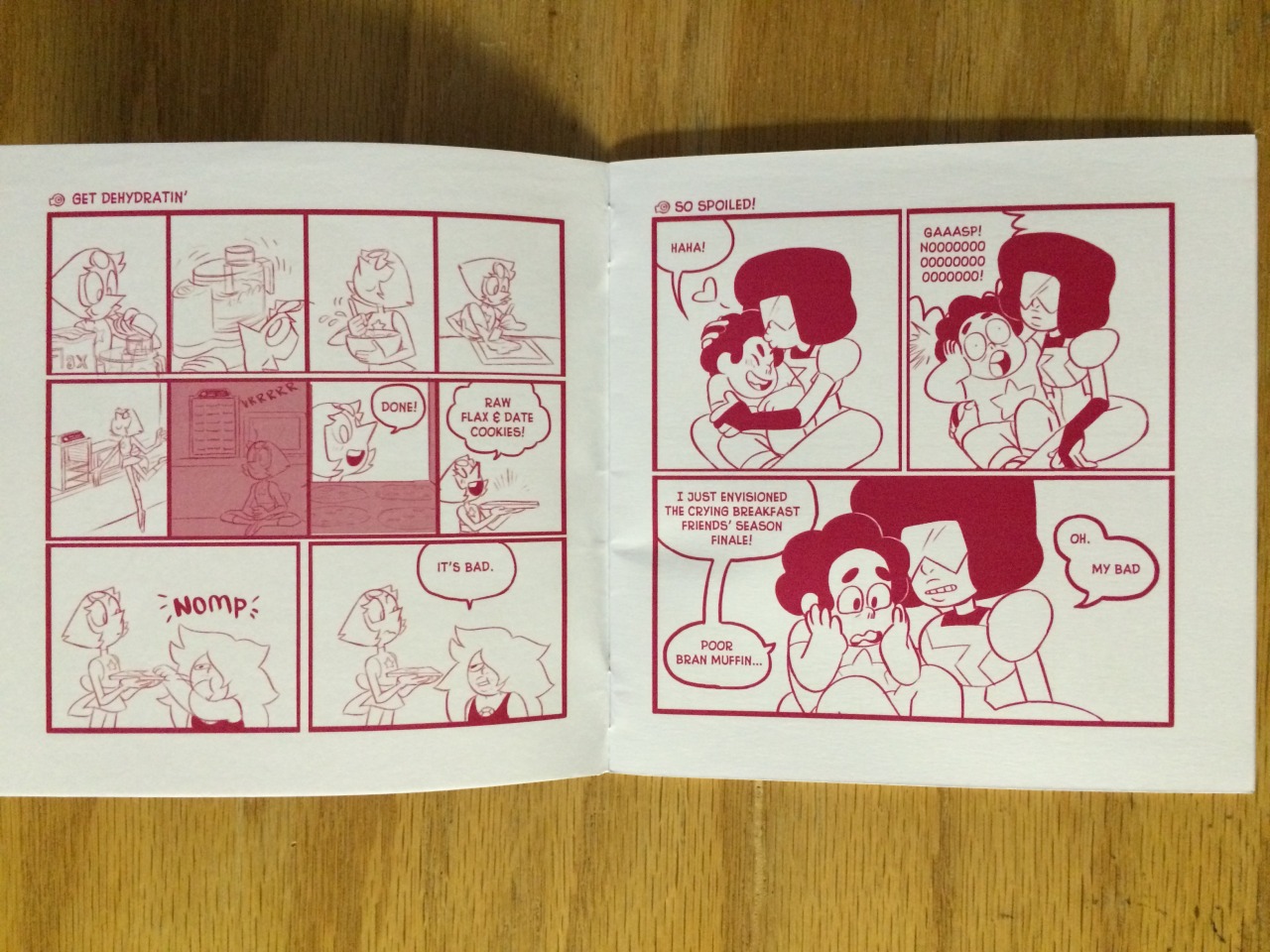 gaygemgoddess:    SDCC Exclusive Steven Universe Zine by Lauren Zuke and Mira W.