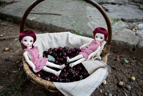 luciadollstudio:Cherry USD BJD Photo shoot 2/  루시아돌 체리 USD 구체관절인형 화보2  As soon as it stopped raining