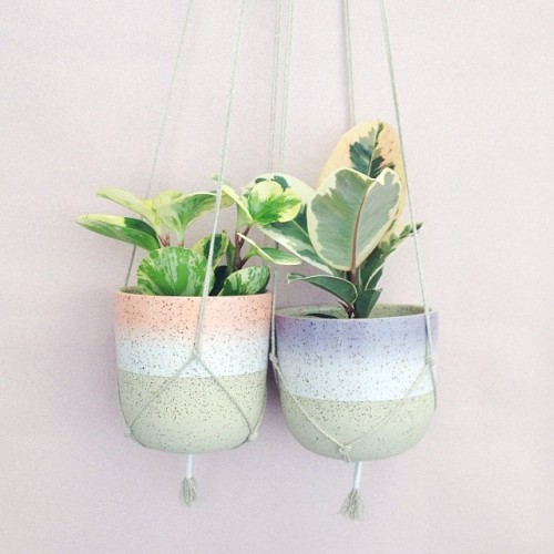 northmagneticpole: Lindsey Hampton (Instagram)